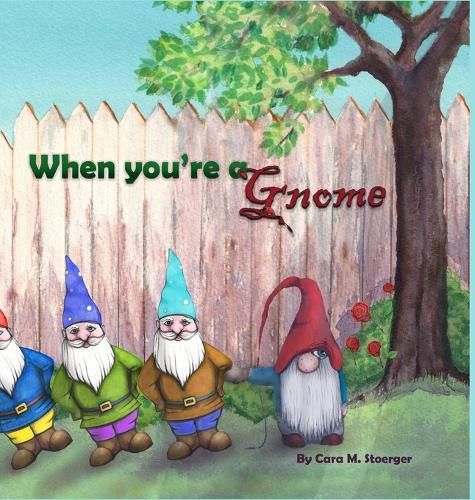 Cover image for When You're a Gnome