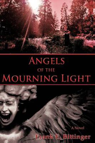 Cover image for Angels of the Mourning Light