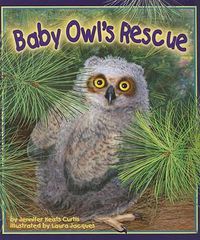 Cover image for Baby Owl's Rescue