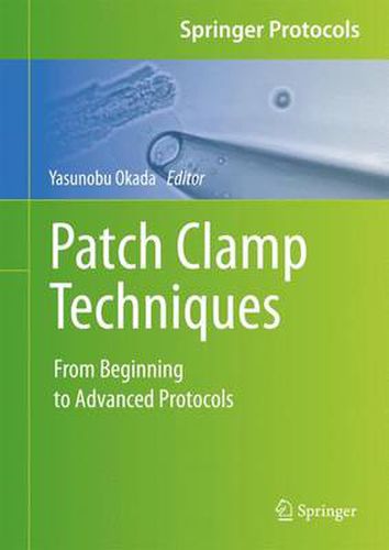 Cover image for Patch Clamp Techniques: From Beginning to Advanced Protocols