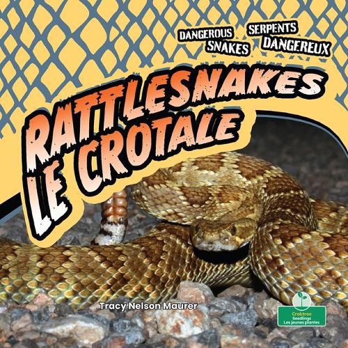 Le Crotale (Rattlesnakes) Bilingual Eng/Fre