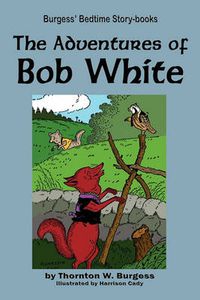 Cover image for The Adventures of Bob White