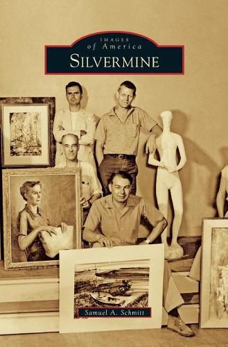 Cover image for Silvermine