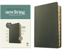 Cover image for NLT Large Print Thinline Reference Bible, Filament Edition