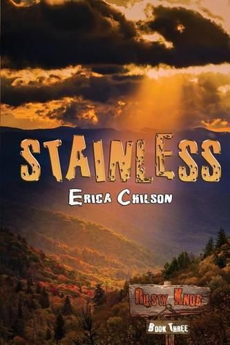 Cover image for Stainless