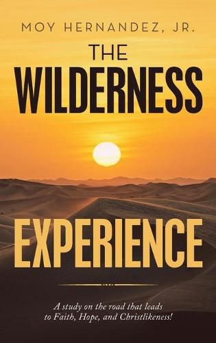 Cover image for The Wilderness Experience: A Study on the Road That Leads to Faith, Hope, and Christlikeness!