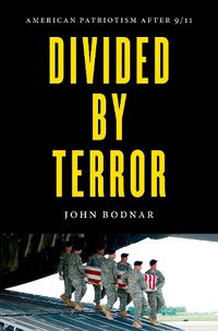 Cover image for Divided by Terror: American Patriotism after 9/11