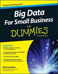 Cover image for Big Data For Small Business For Dummies
