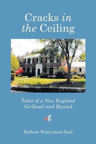 Cover image for Cracks in the Ceiling