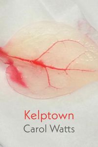 Cover image for Kelptown