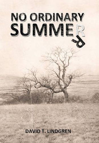 Cover image for No Ordinary Summer