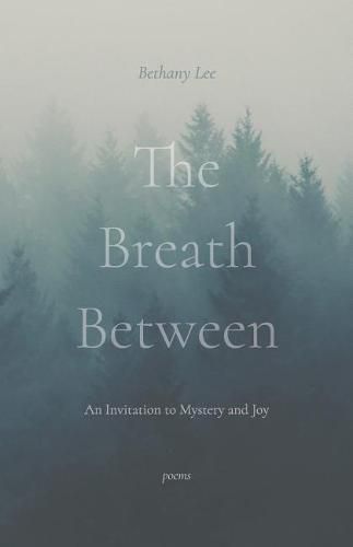 Cover image for The Breath Between: An Invitation to Mystery and Joy