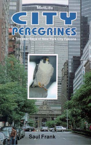 Cover image for City Peregrines: A Ten-Year Saga of New York City Falcon