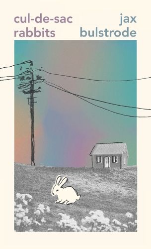 Cover image for Cul-de-sac Rabbits