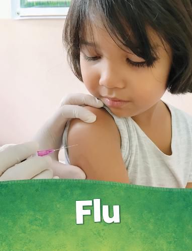 Cover image for Flu