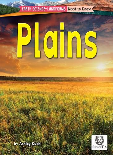Cover image for Plains