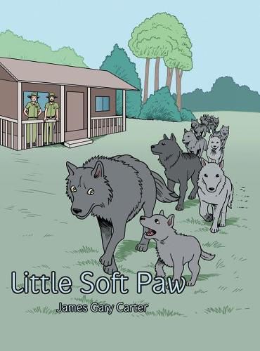 Cover image for Little Soft Paw