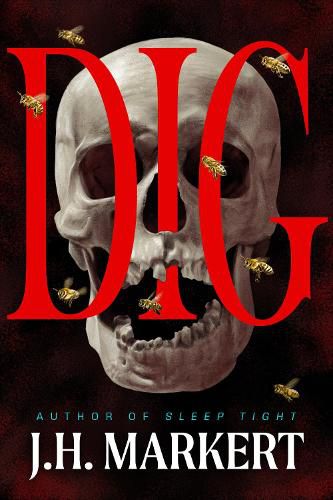 Cover image for Dig