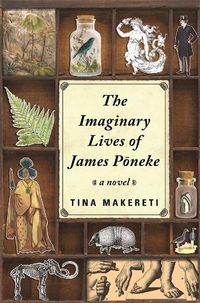 Cover image for Imaginary Lives of James Poneke, The
