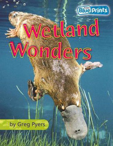 Cover image for Blueprints Middle Primary B Unit 4: Wetland Wonders