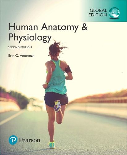 Cover image for Human Anatomy & Physiology, Global Edition