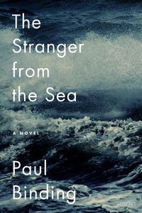 Cover image for The Stranger from the Sea: A Novel