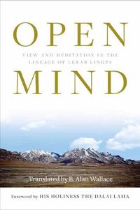 Cover image for Open Mind: View and Meditation in the Lineage of Lerab Linga