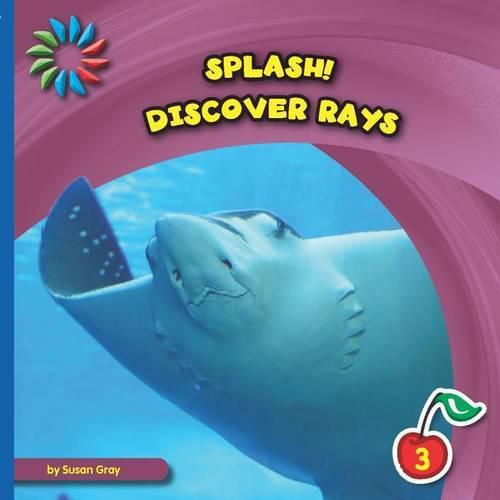 Cover image for Discover Rays