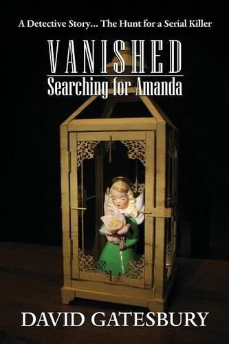 Cover image for Vanished: Searching for Amanda