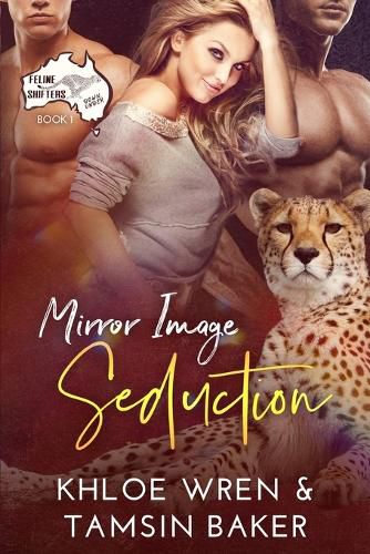 Cover image for Mirror Image Seduction