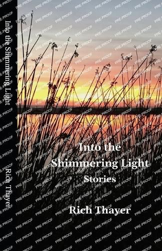 Cover image for Into the Shimmering Light