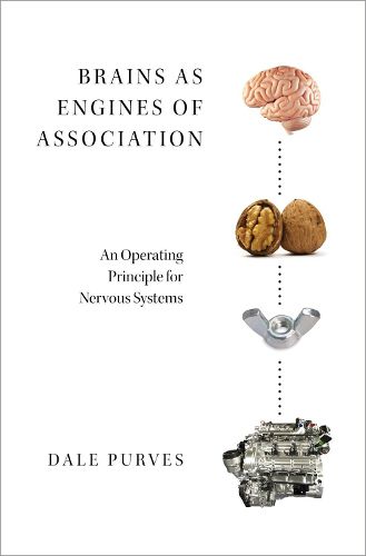 Cover image for Brains as Engines of Association: An Operating Principle for Nervous Systems