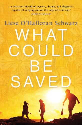 Cover image for What Could Be Saved