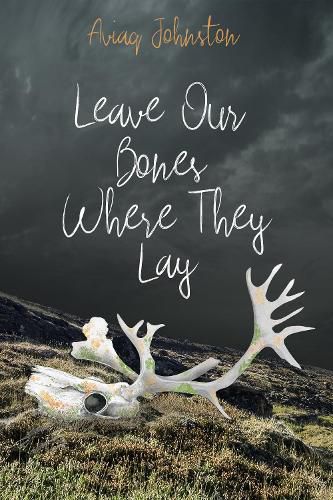 Cover image for Leave Our Bones Where They Lay