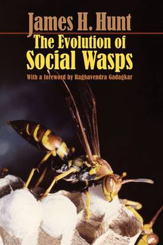 Cover image for The Evolution of Social Wasps