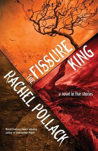 Cover image for The Fissure King: A Novel in Five Stories