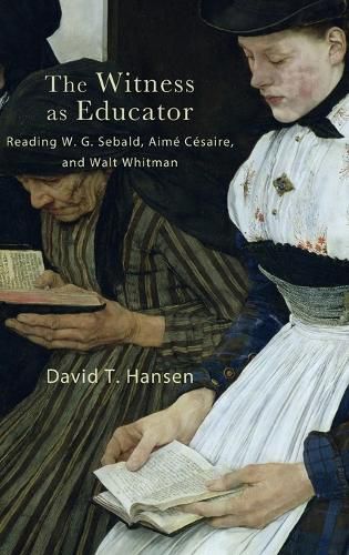 Cover image for The Witness as Educator