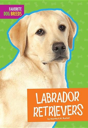 Cover image for Labrador Retrievers
