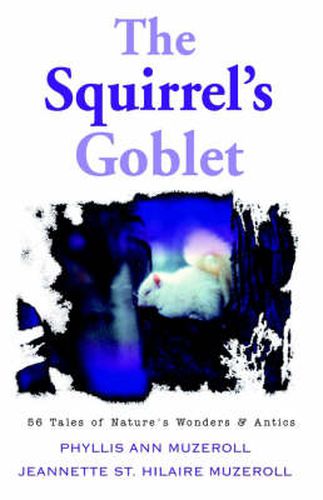 Cover image for The Squirrel's Goblet