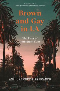 Cover image for Brown and Gay in LA: The Lives of Immigrant Sons