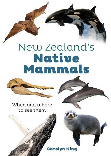 Cover image for NZ Native Mammals