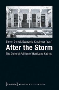 Cover image for After the Storm: The Cultural Politics of Hurricane Katrina