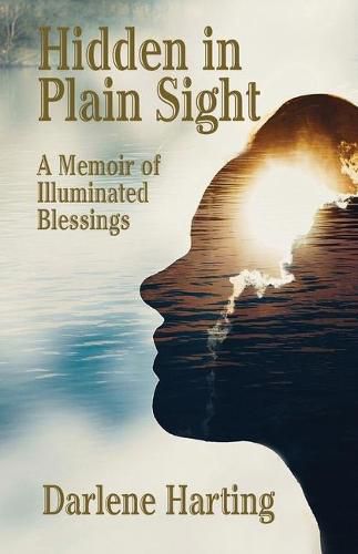 Cover image for Hidden in Plain Sight: A Memoir of Illuminated Blessings