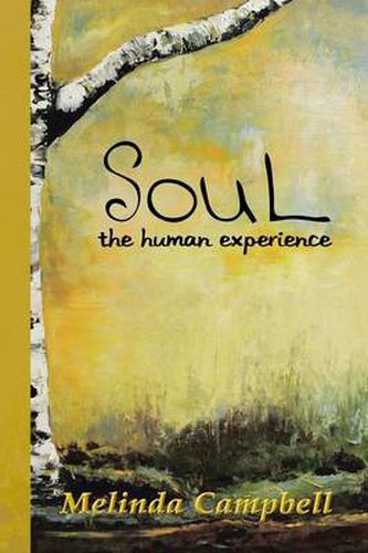 Cover image for Soul: The Human Experience