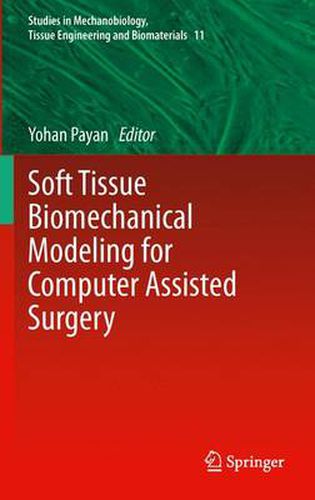 Cover image for Soft Tissue Biomechanical Modeling for Computer Assisted Surgery