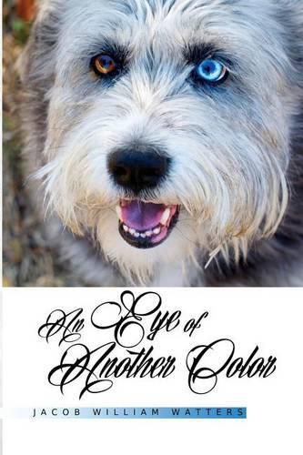 Cover image for An Eye of Another Color