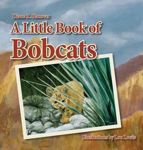 Cover image for A Little Book of Bobcats