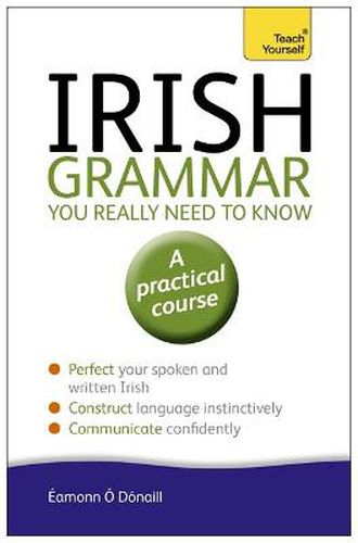 Cover image for Irish Grammar You Really Need to Know: Teach Yourself