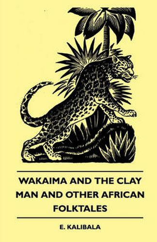 Cover image for Wakaima And The Clay Man And Other African Folktales