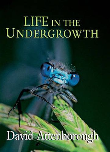 Cover image for Life in the Undergrowth